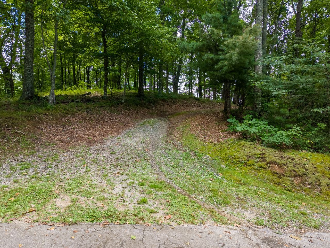752 Shepherds Gap Rd