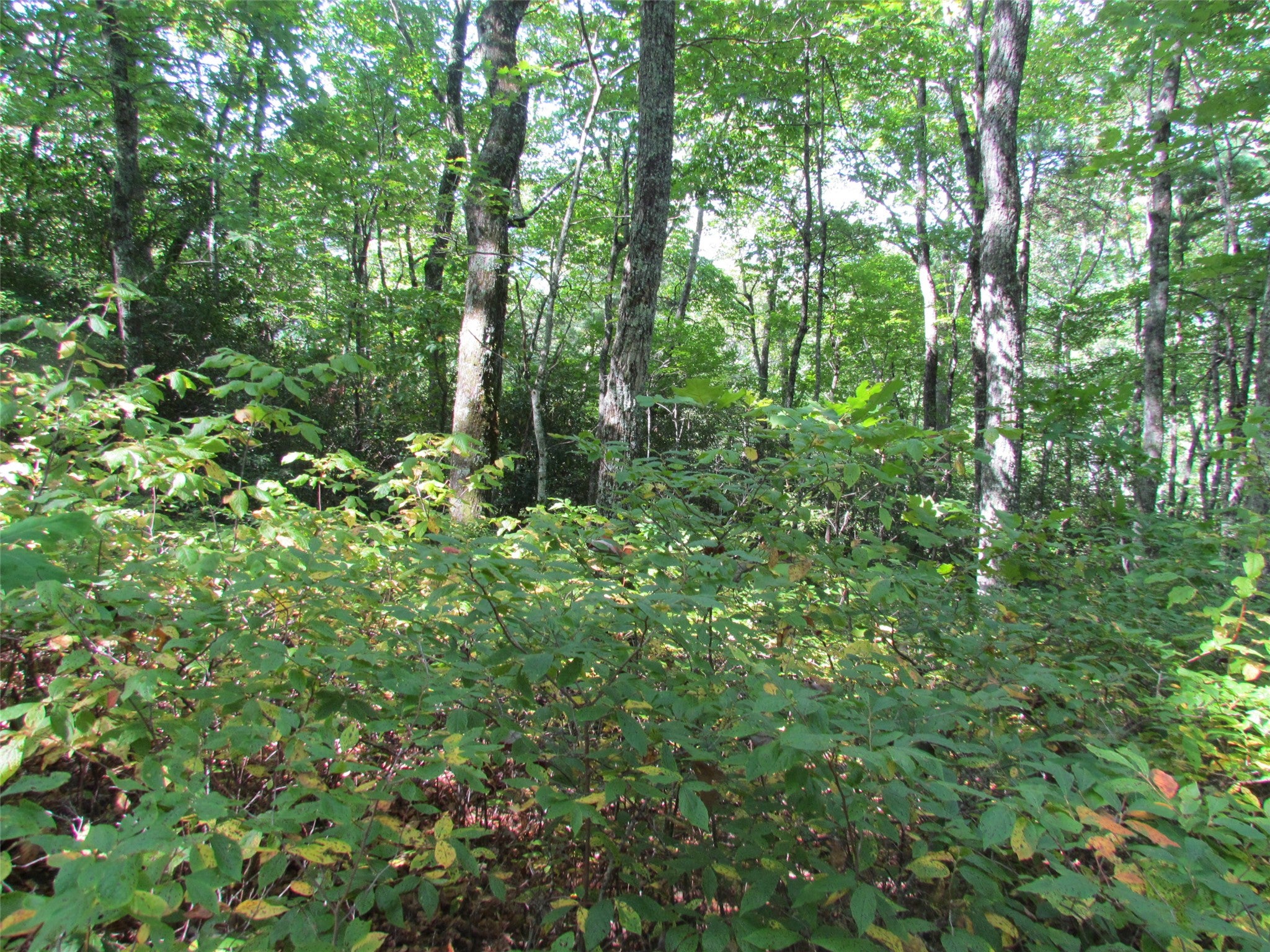 00 Kettle Creek