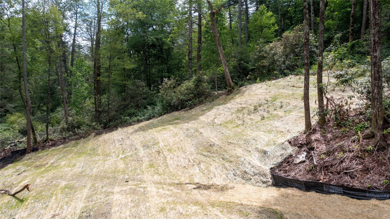 Highlands, North Carolina 28741, United States, 3 Bedrooms Bedrooms, ,4 BathroomsBathrooms,Residential,Active,157067