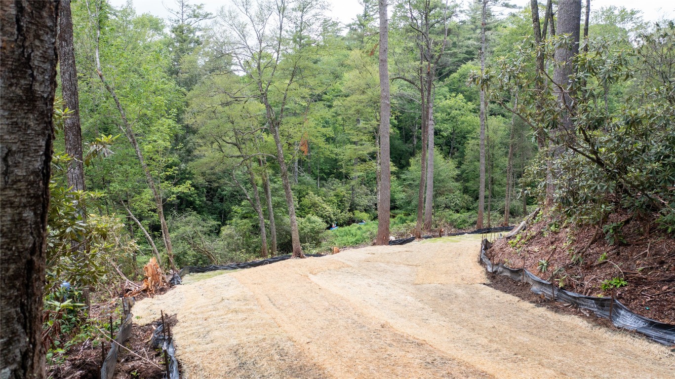 Highlands, North Carolina 28741, United States, 3 Bedrooms Bedrooms, ,4 BathroomsBathrooms,Residential,Active,157067