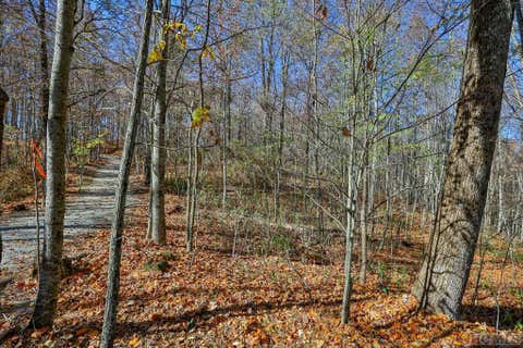 Photo for TBD Buck Knob Road