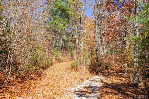 00 Silly Ridge Road Scaly Mountain NC 28775