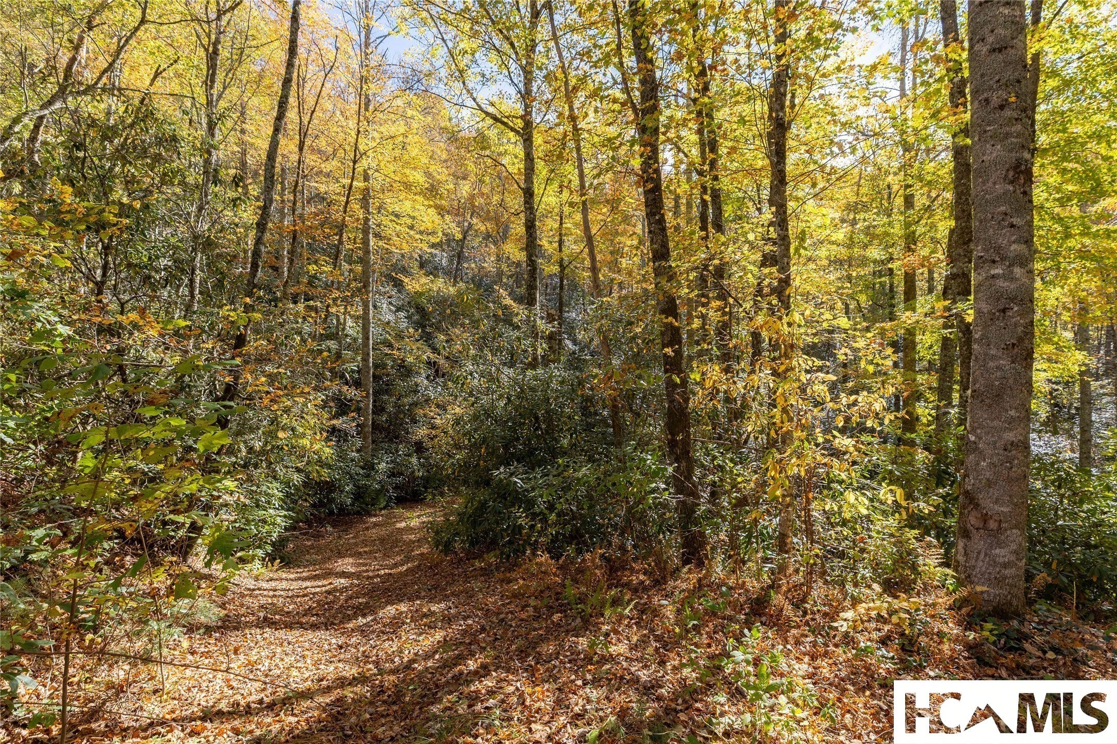 Lot 19 Shiver Ridge