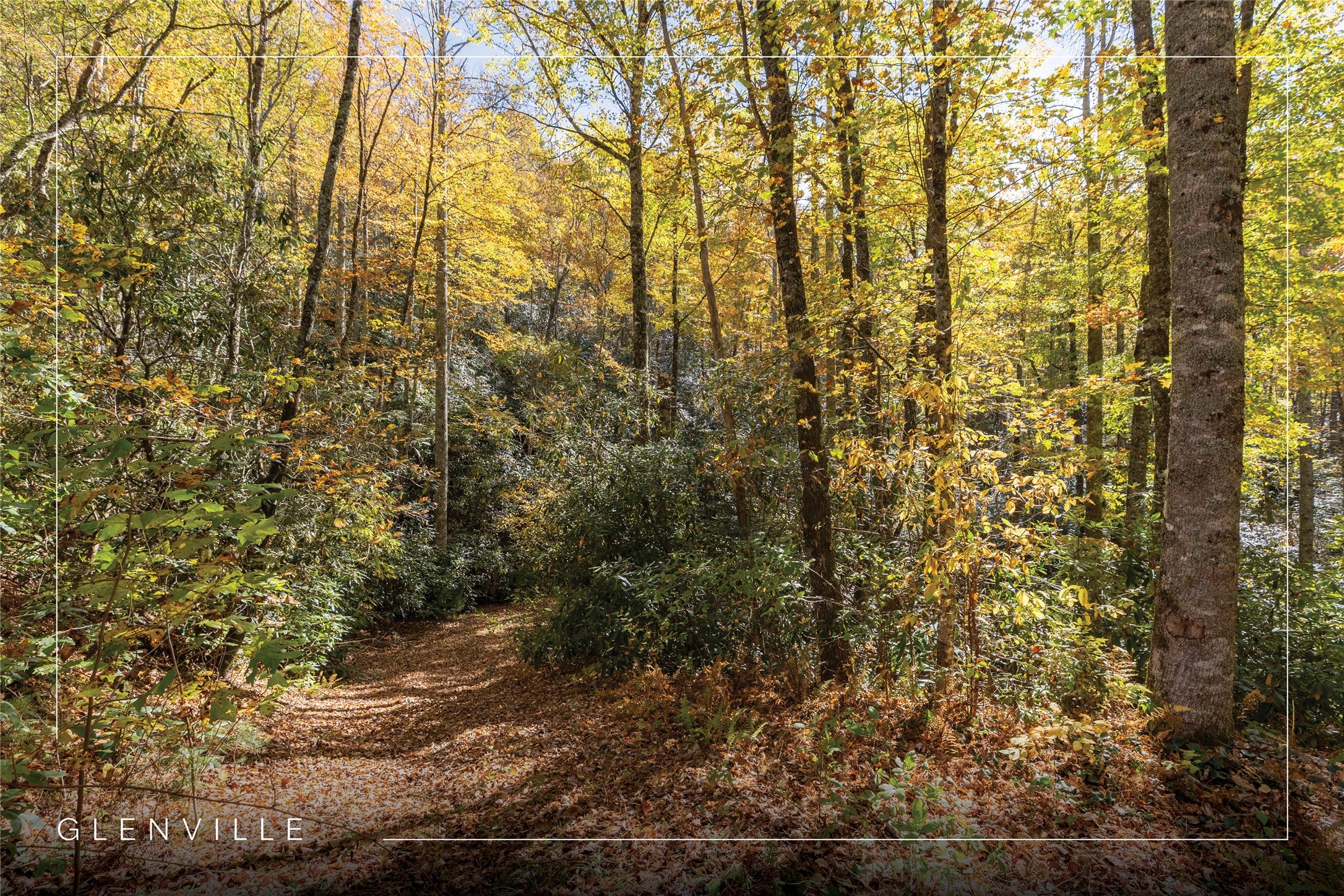 Lot 19 Shiver Ridge