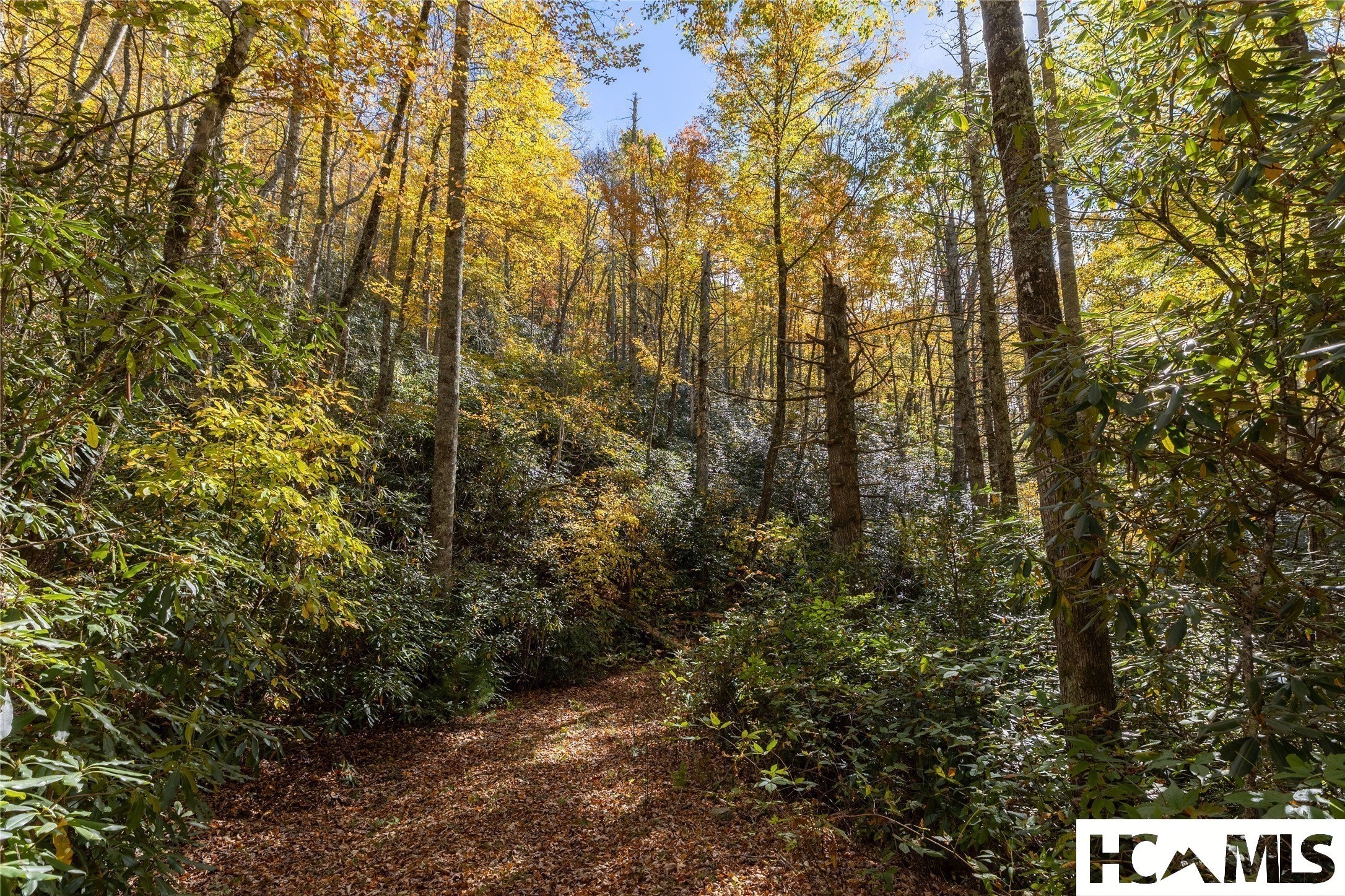 Lot 19 Shiver Ridge
