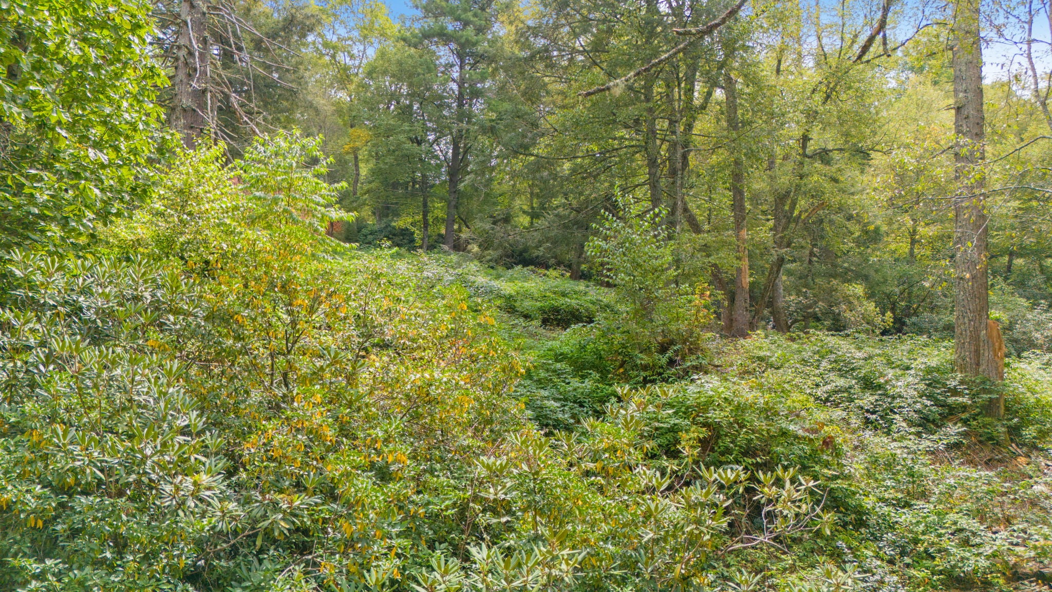 0 Sherwood Forest