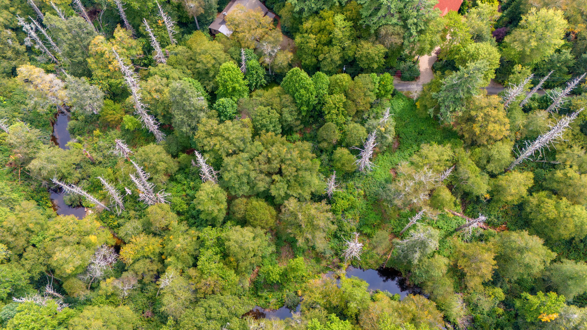 0 Sherwood Forest
