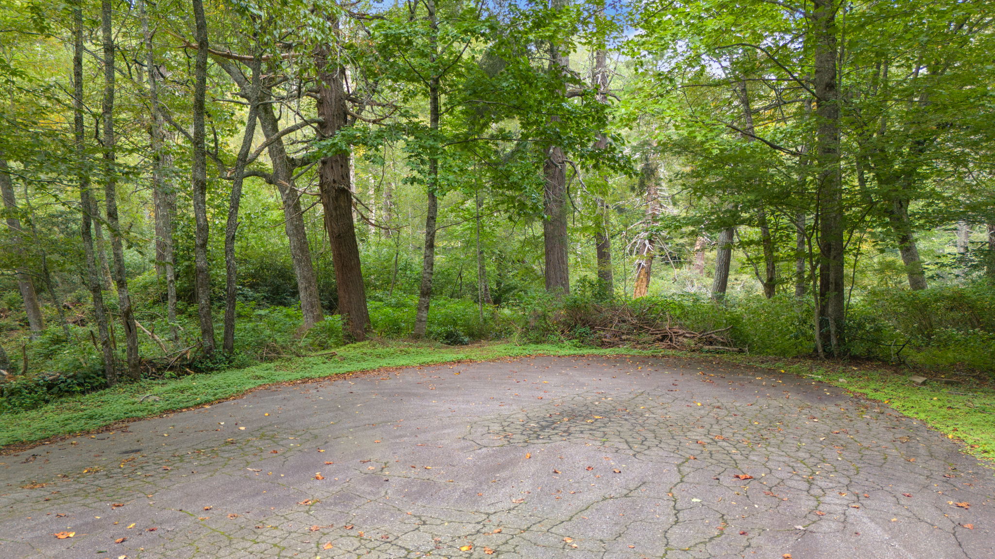 0 Sherwood Forest