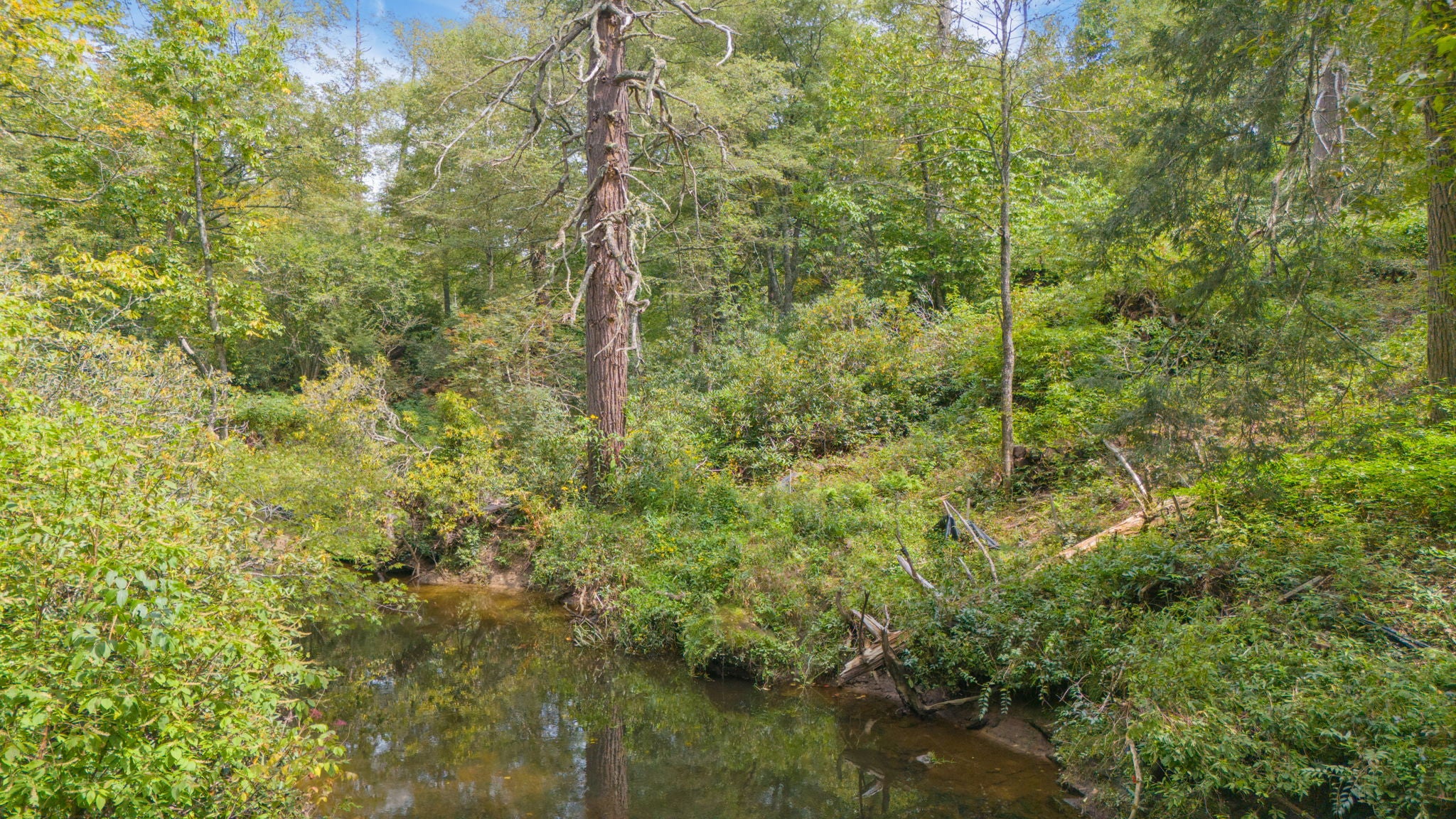 0 Sherwood Forest