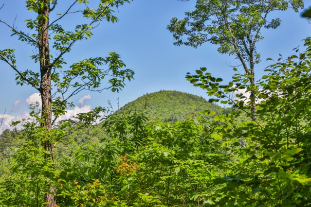 Lot 2 Hardscrabble Ridge Road