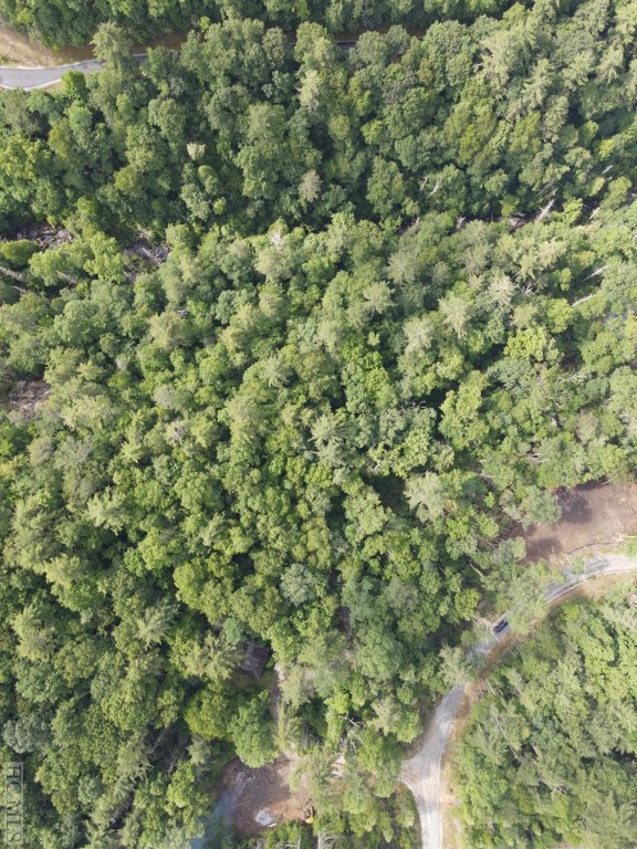 Cashiers, North Carolina 28717, United States, ,Land,Active,223433