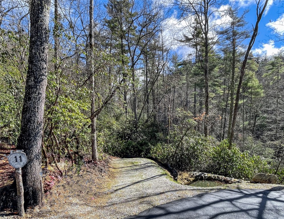 Cashiers, North Carolina 28717, United States, ,Land,Active,178170