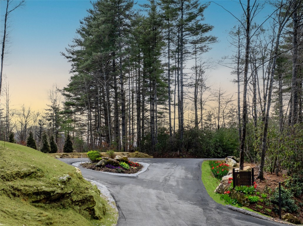 Cashiers, North Carolina 28717, United States, ,Land,Active,178170