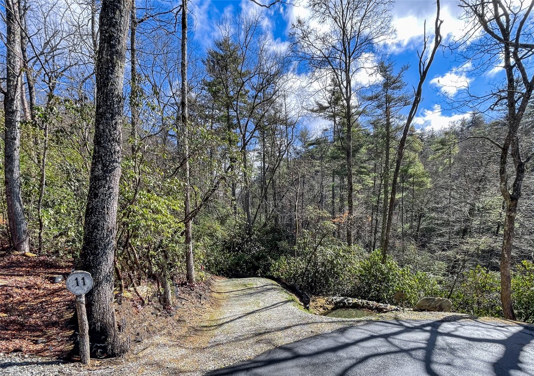 Cashiers, North Carolina 28717, United States, ,Land,Active,178170