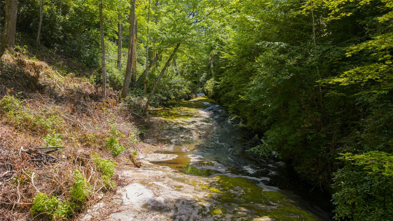 Cashiers, North Carolina 28717, United States, ,Land,Active,178170