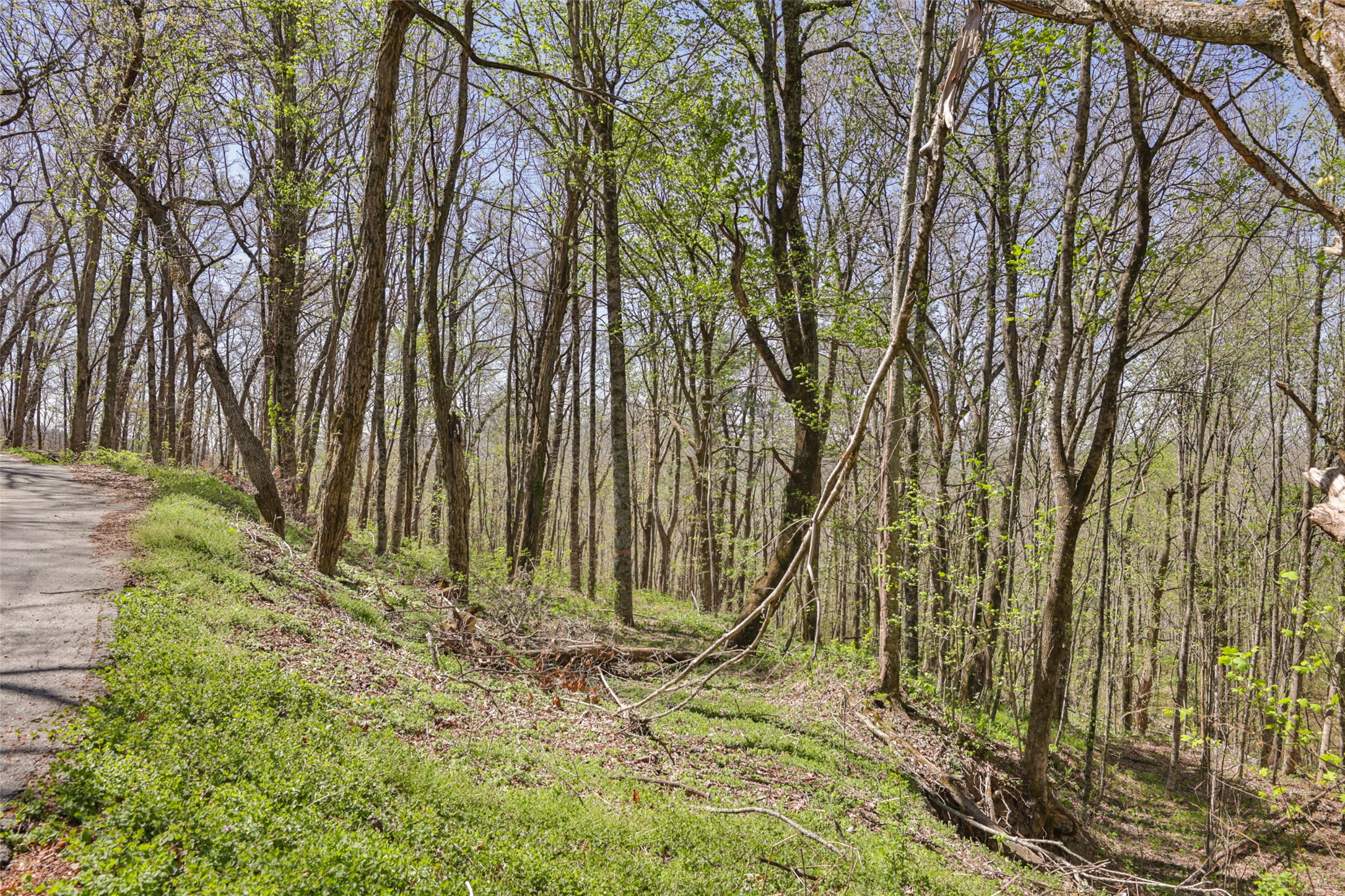 TBD Eastside Duck Mountain Road