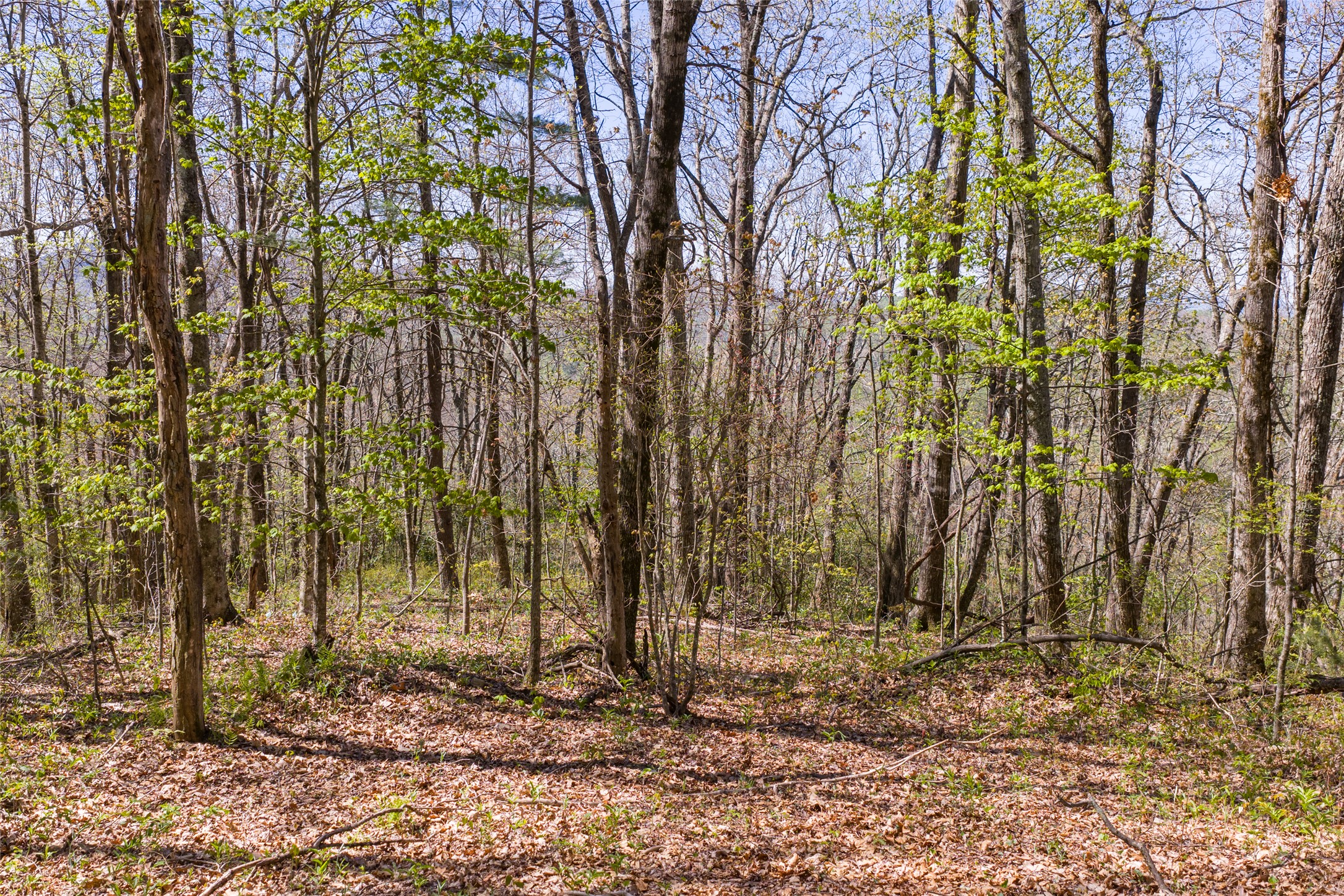 TBD Eastside Duck Mountain Road