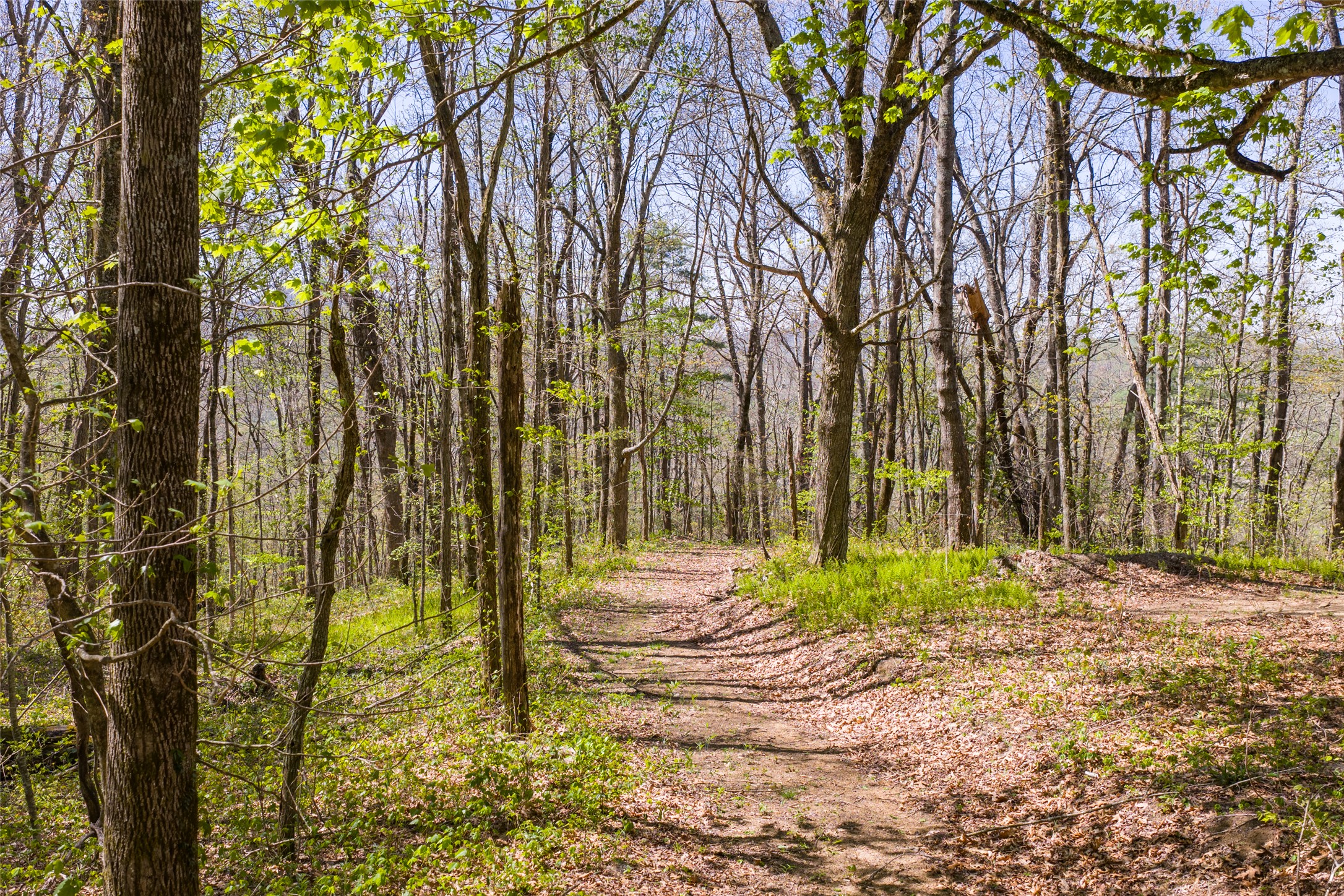 TBD Eastside Duck Mountain Road