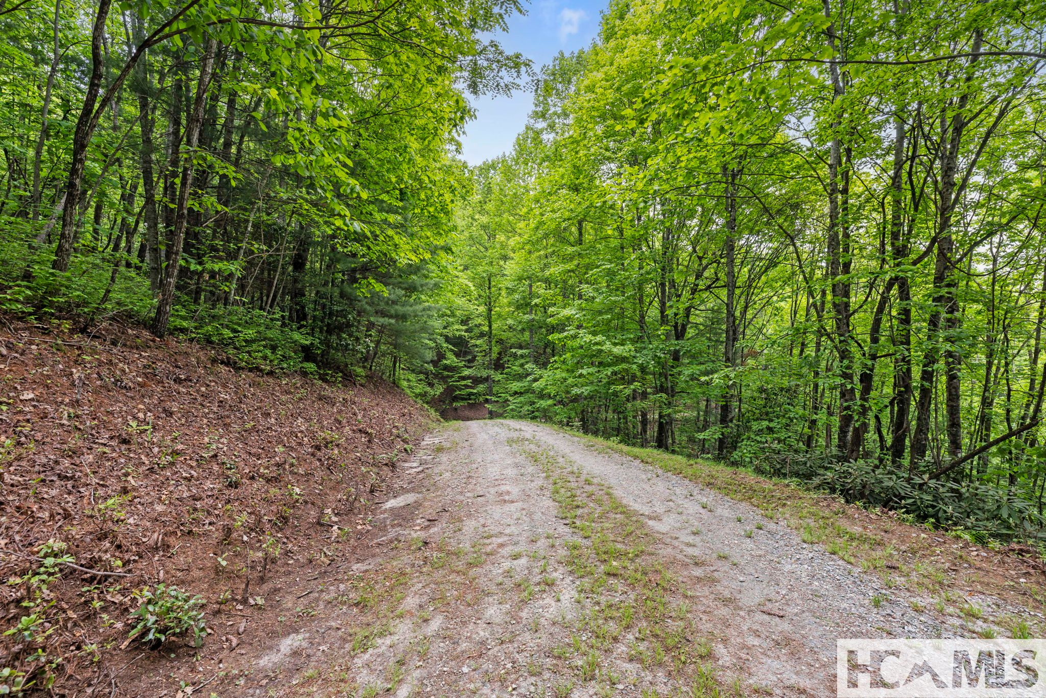 1325 Golden Road