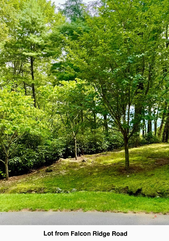 0 Falcon Ridge