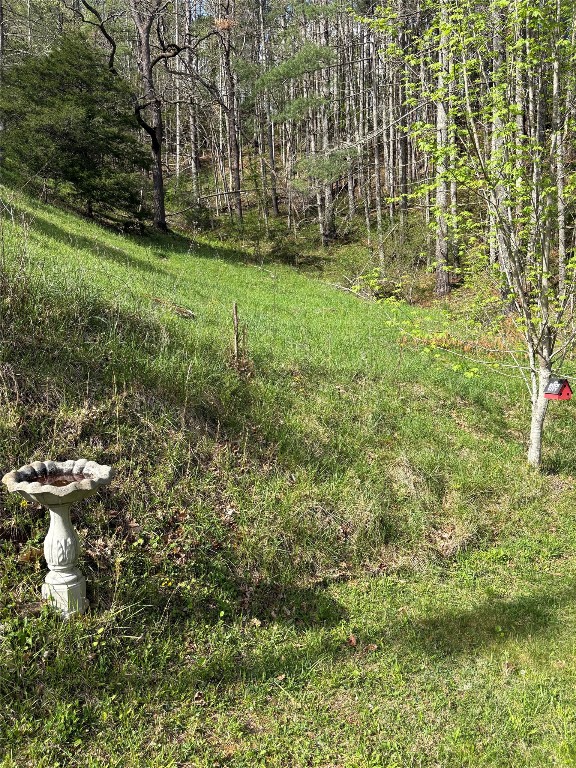 Cullowhee, North Carolina 28723, United States, 3 Bedrooms Bedrooms, ,3 BathroomsBathrooms,Residential,Active,109957