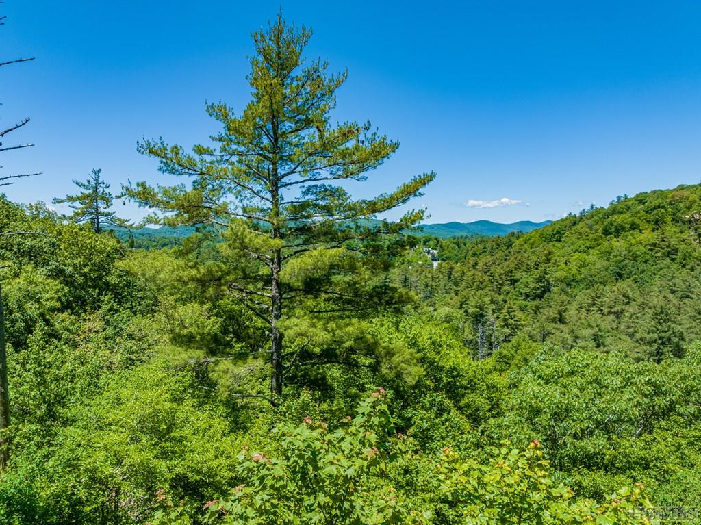 Highlands, North Carolina 28741, United States, ,Land,Active,164660