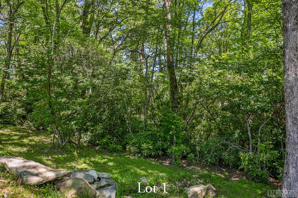 Highlands, North Carolina 28741, United States, ,Land,Active,164660