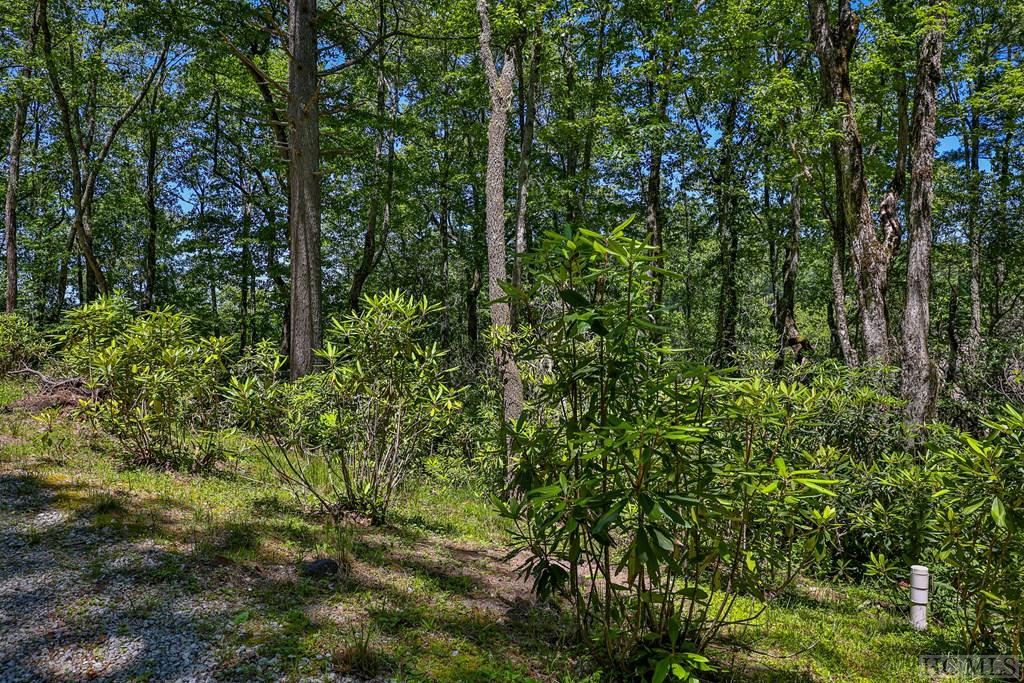 Highlands, North Carolina 28741, United States, ,Land,Active,164660