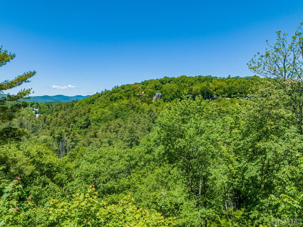 Highlands, North Carolina 28741, United States, ,Land,Active,164660