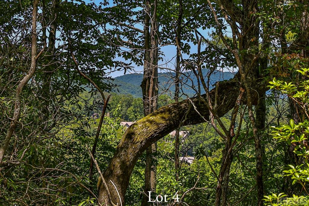 Highlands, North Carolina 28741, United States, ,Land,Active,164660