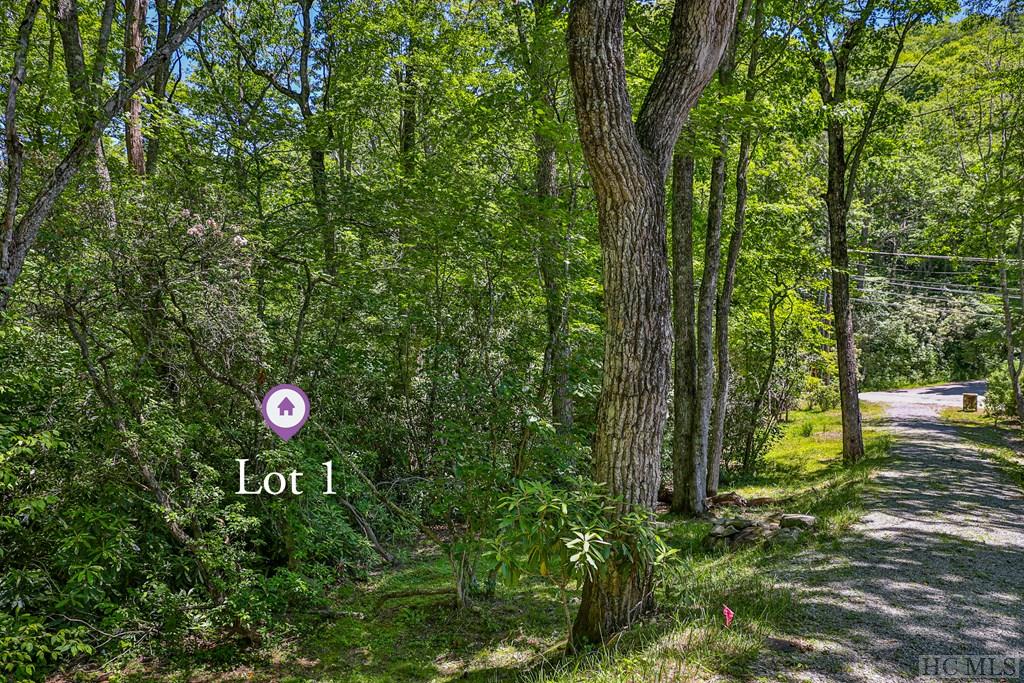 Highlands, North Carolina 28741, United States, ,Land,Active,164660