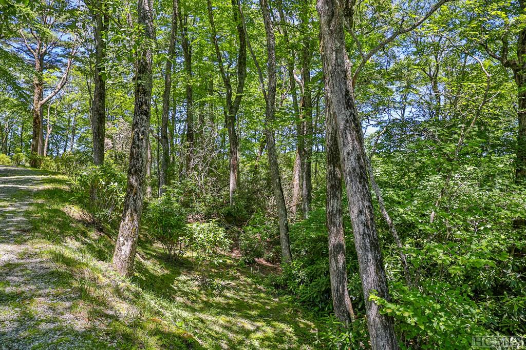 Highlands, North Carolina 28741, United States, ,Land,Active,164660