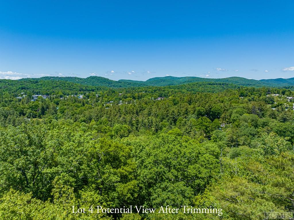 Highlands, North Carolina 28741, United States, ,Land,Active,164660