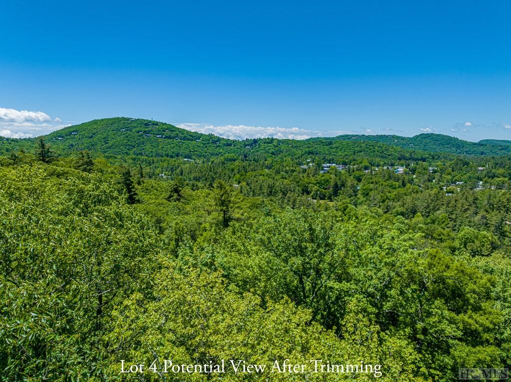 Highlands, North Carolina 28741, United States, ,Land,Active,164660