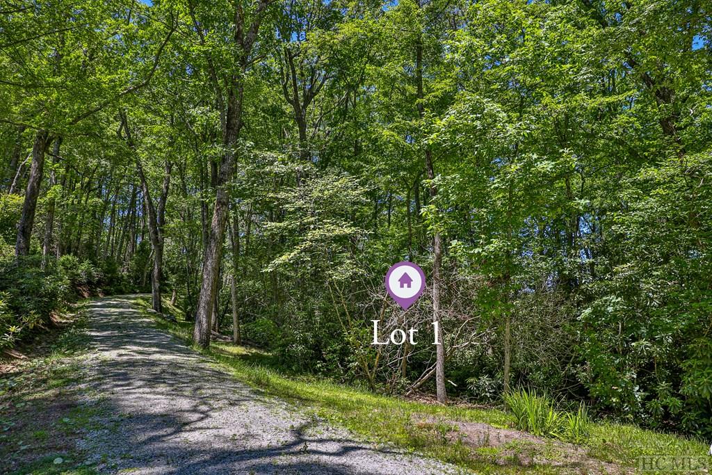 Highlands, North Carolina 28741, United States, ,Land,Active,164660