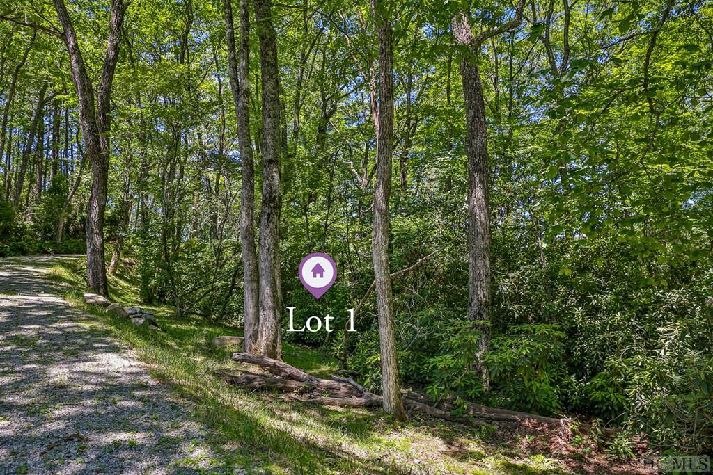 Highlands, North Carolina 28741, United States, ,Land,Active,164660