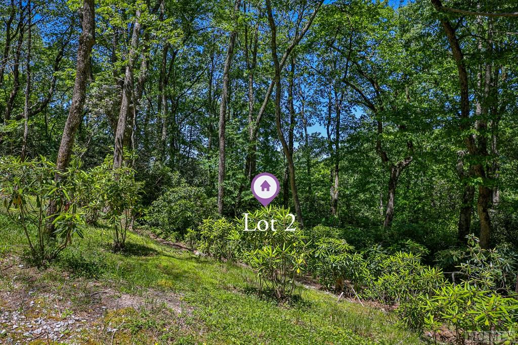 Highlands, North Carolina 28741, United States, ,Land,Active,164660