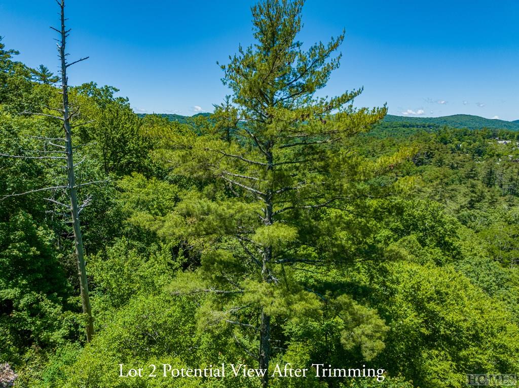 Highlands, North Carolina 28741, United States, ,Land,Active,164660