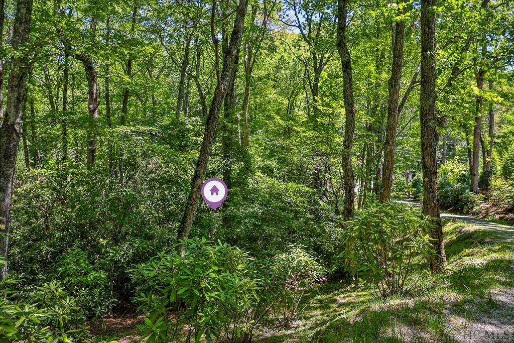 Highlands, North Carolina 28741, United States, ,Land,Active,164660