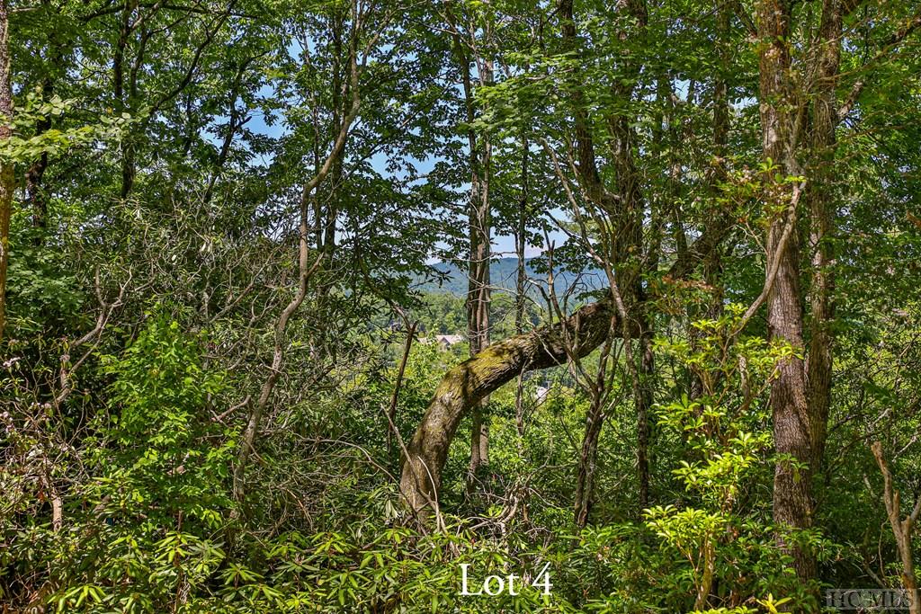 Highlands, North Carolina 28741, United States, ,Land,Active,164660