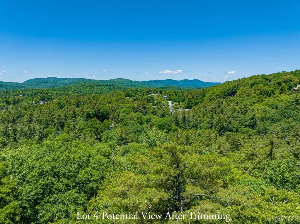 Highlands, North Carolina 28741, United States, ,Land,Active,164660