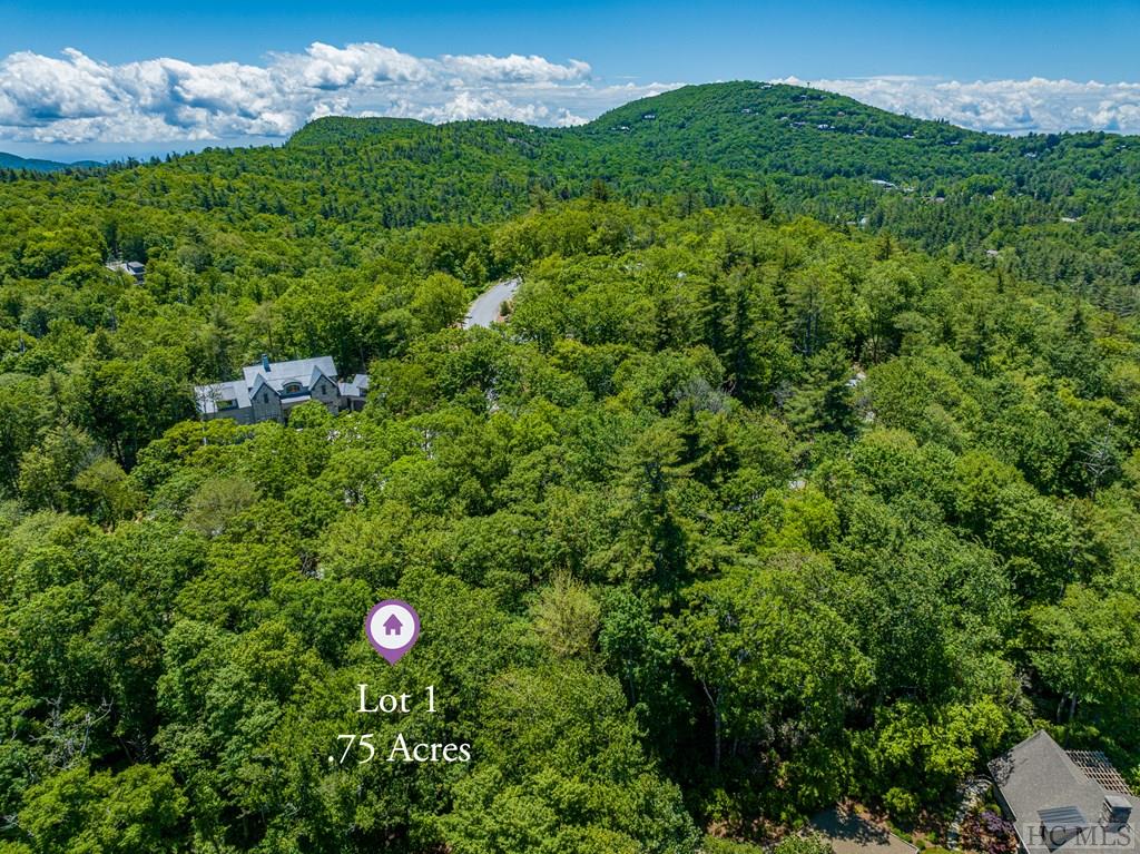 Highlands, North Carolina 28741, United States, ,Land,Active,164660