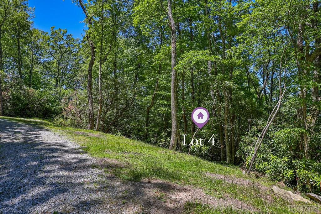 Highlands, North Carolina 28741, United States, ,Land,Active,164660