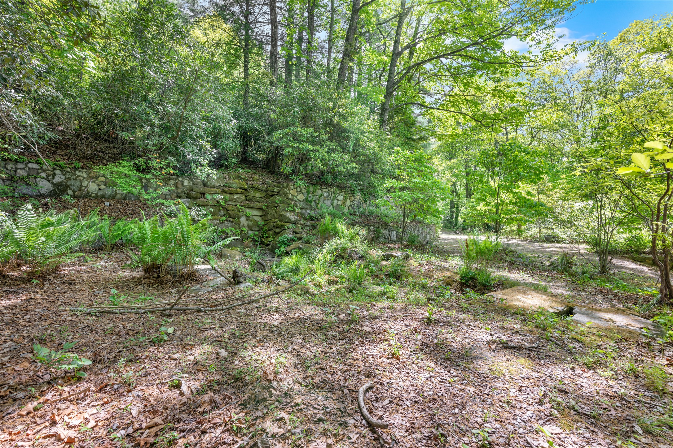 1923 Cold Mountain Road