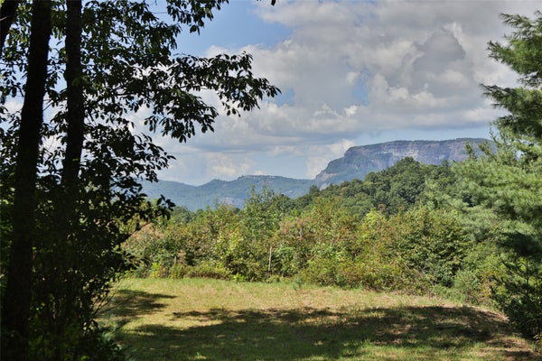 MEADOWCREST DR, CASHIERS, NC 28717 - Image 37ea8f79dc33bbe7e7d88aecf322a616/3949888818
