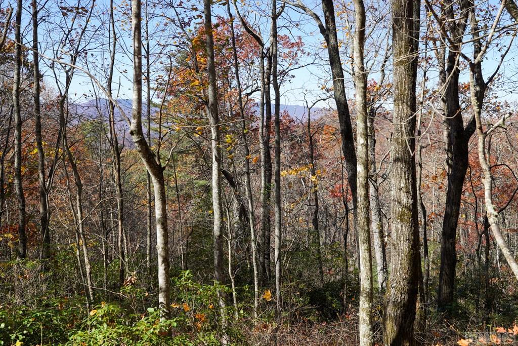 none Silly Ridge Road