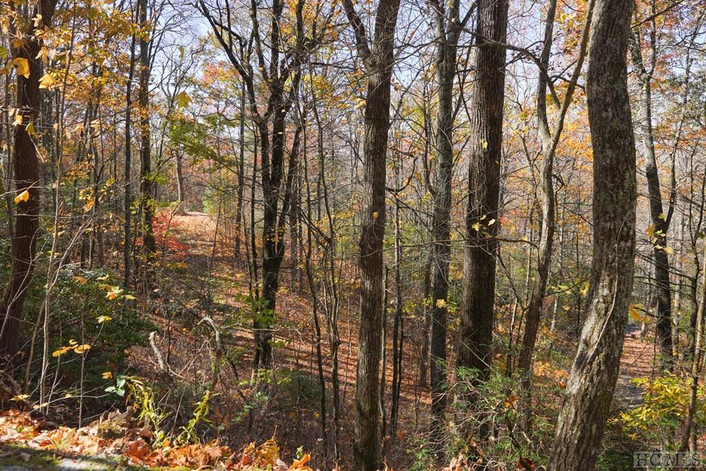 none Silly Ridge Road