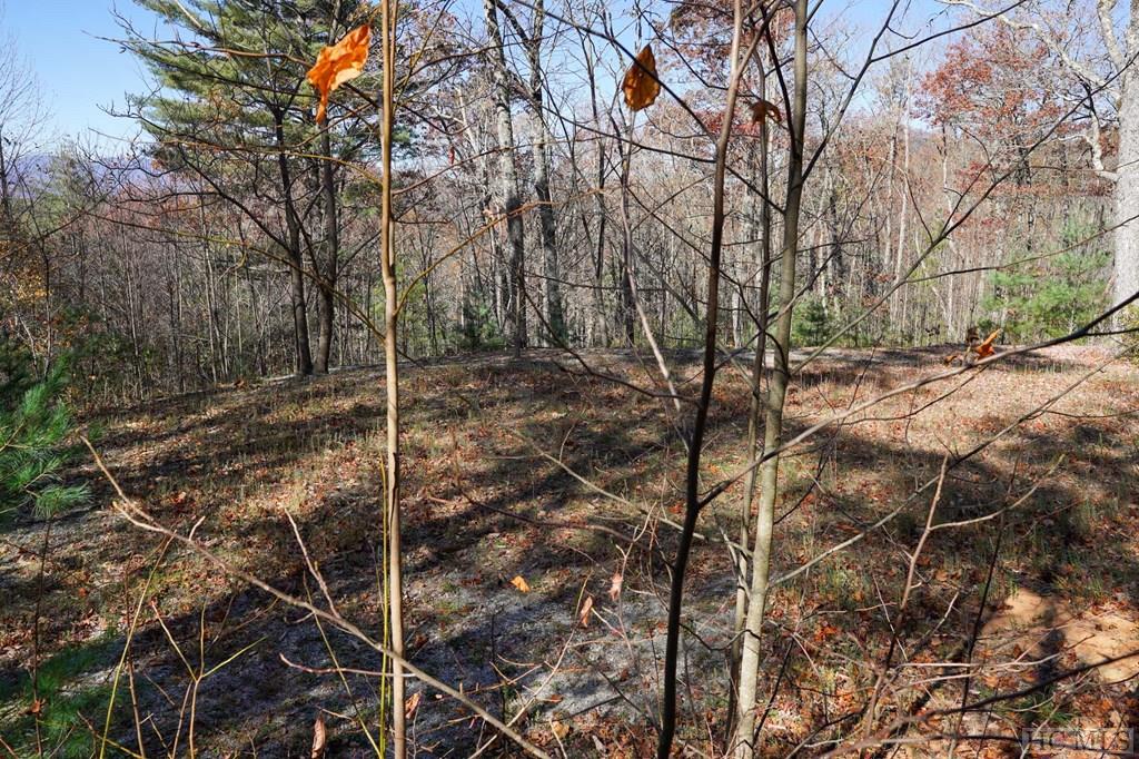 none Silly Ridge Road