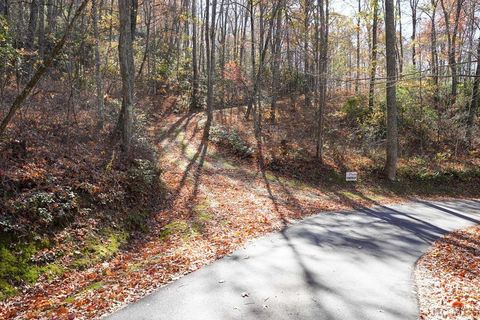 none Silly Ridge Road Scaly Mountain NC 28775