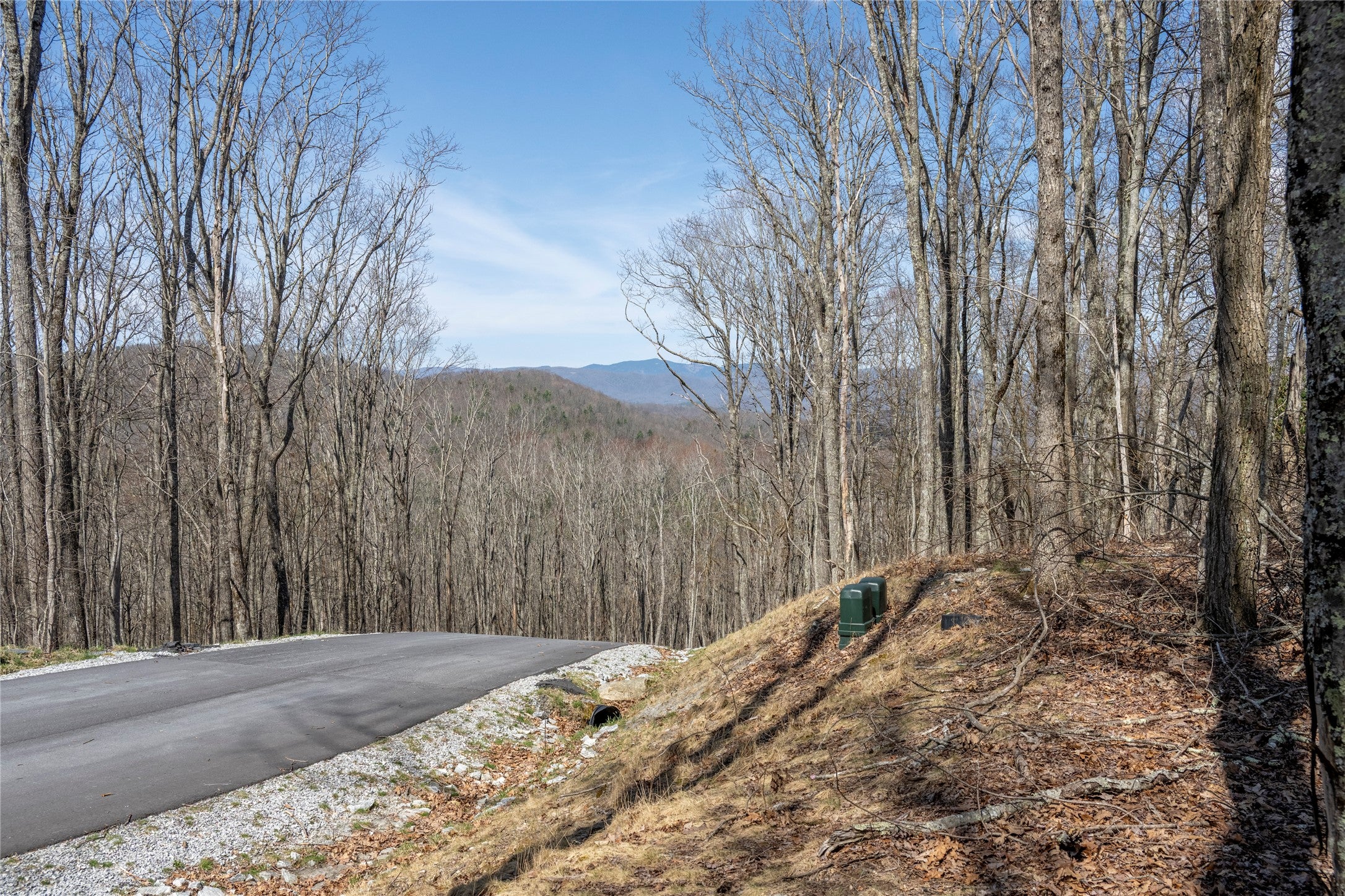 C46 Roaming Road